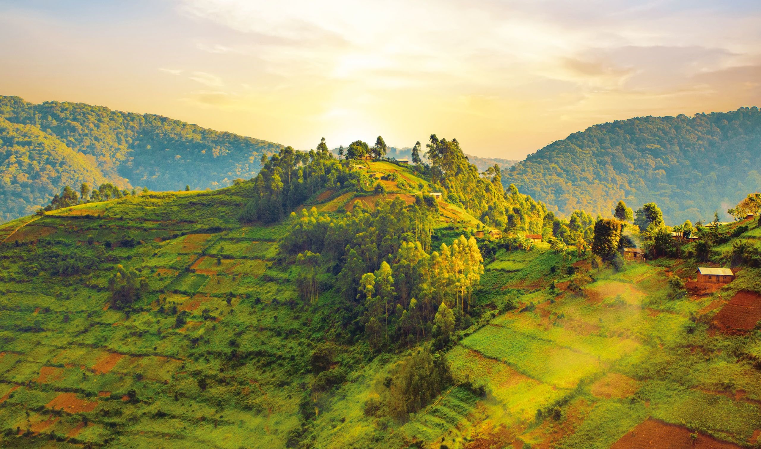 Views of green hills with fields and forests