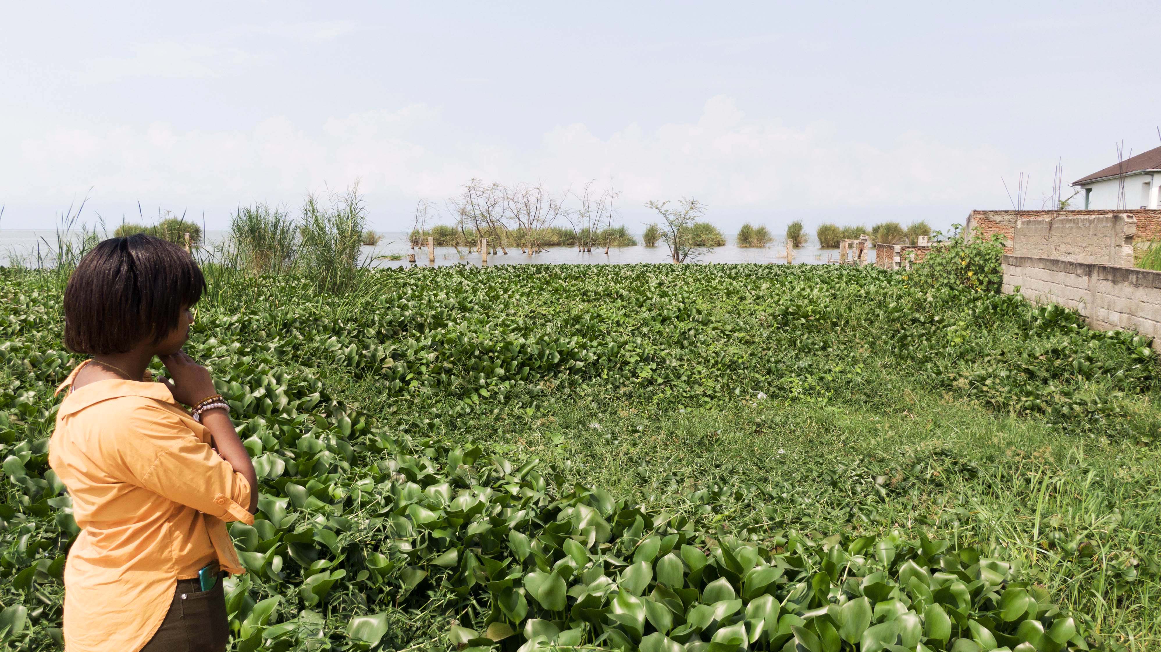 Kathia Gretta Iradukunda, winner of the Awa Prize 2022, observes a field of water hyacinths on the shores of Lake Tanganyika.
