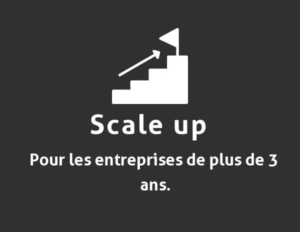 Scale up